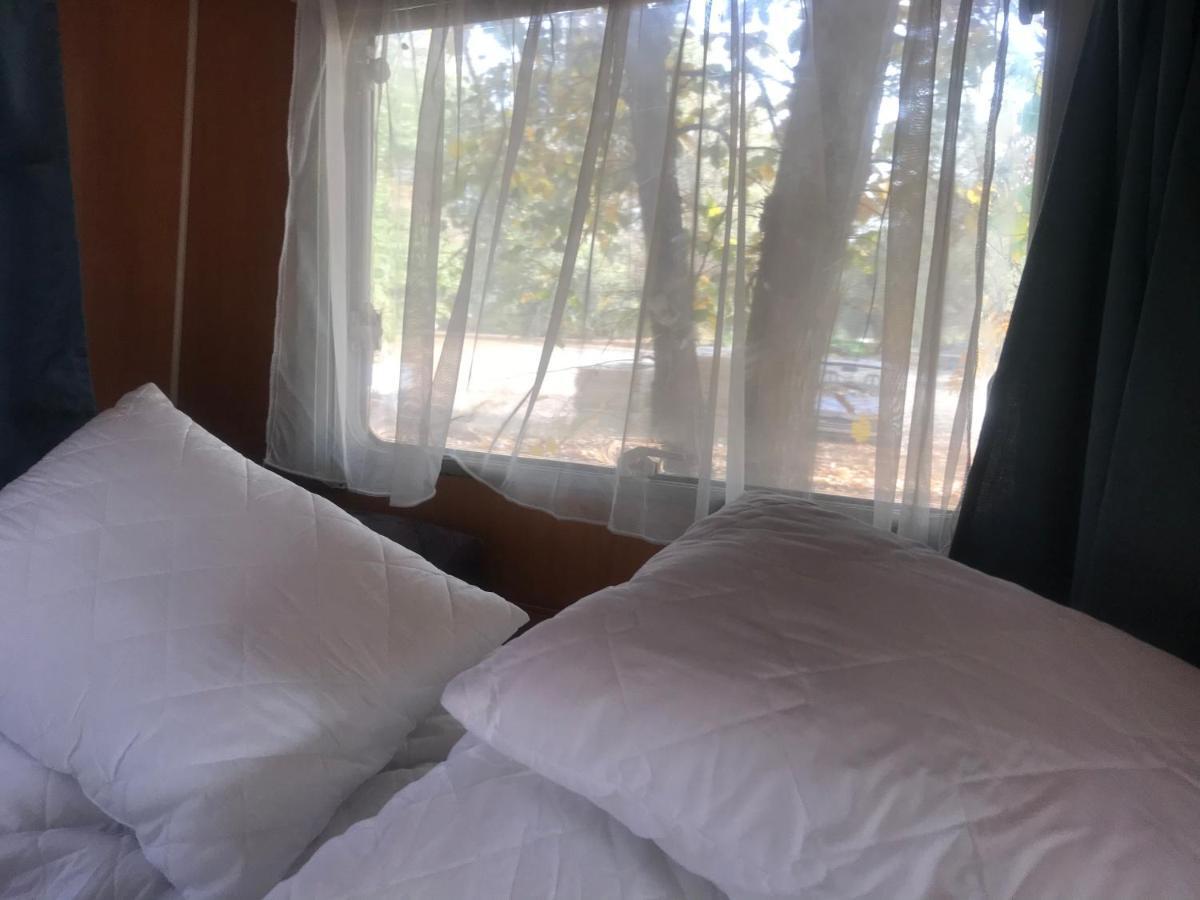 Tisza-Beach Wild Camping 5 Сегед Экстерьер фото