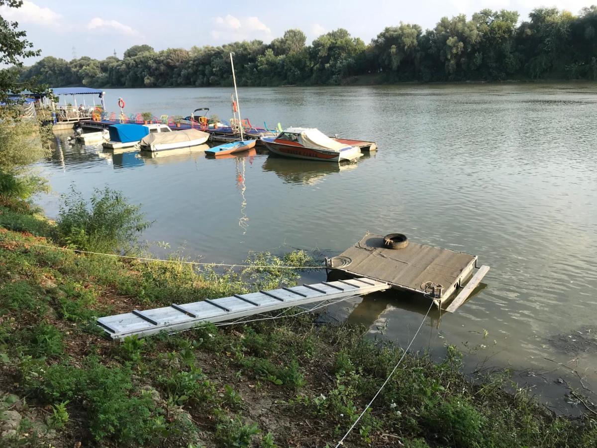 Tisza-Beach Wild Camping 5 Сегед Экстерьер фото